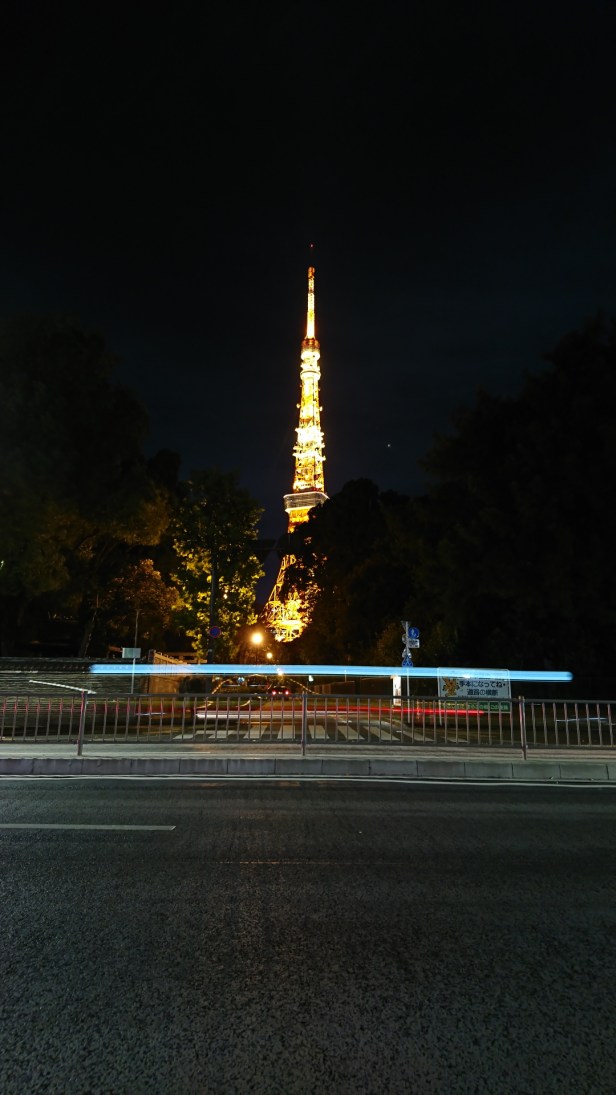DSC_1339.JPG