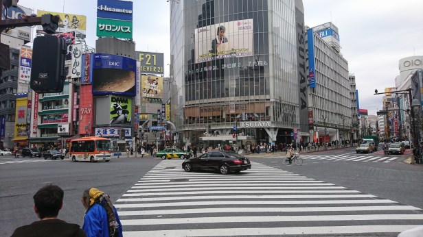 DSC_1492.JPG