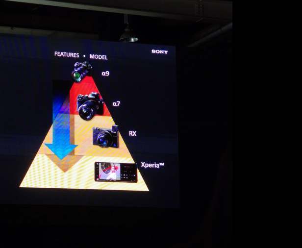 101284946_1152133425152679_3261380448395198464_n